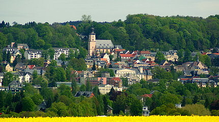 category.firstImage.originalResource.alternative