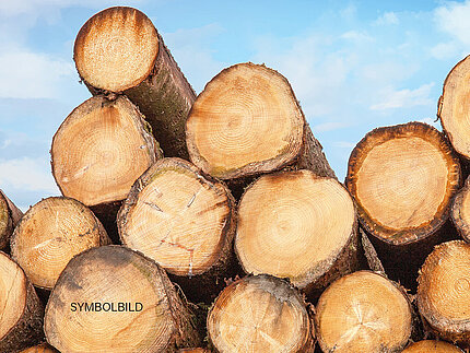 Symbolbild: Gestapelte Baumstämme als Brennholz im Außenbereich eines Holzlagers